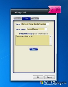 Talking Clock gadget setup