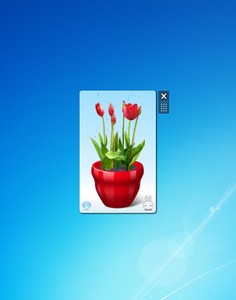 Virtual Flower Pot